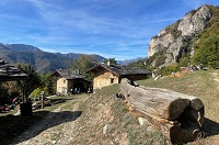 Maira1