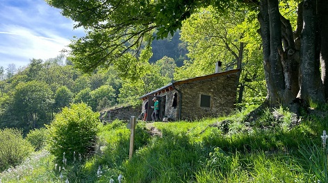 Fugera